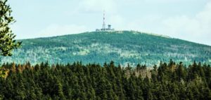 Faltblatt erklärt Waldwandel und die Waldbilder dieser Phase im Nationalpark Harz.