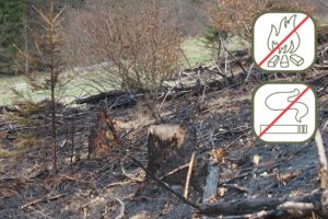 Achtung Waldbrandgefahr im ganzen Land und auch im Harz
