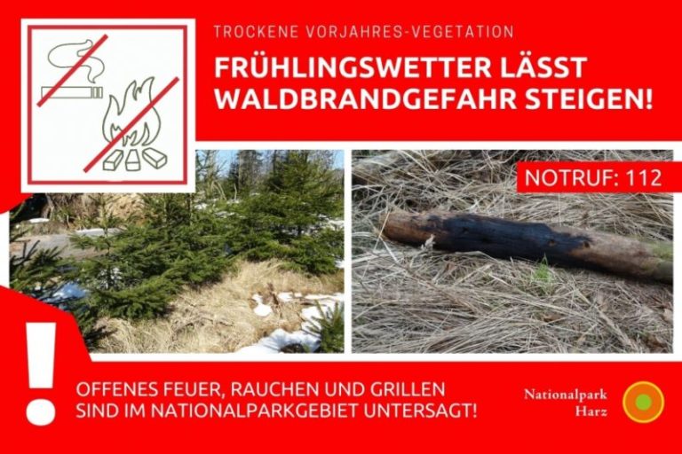 Waldbrandgefahr steigt auch im Harz - Regeln beachten!