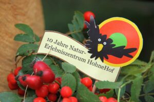 Natur-Erlebniszentrum HohneHof: Auf dem Klangteppich der Wildnis