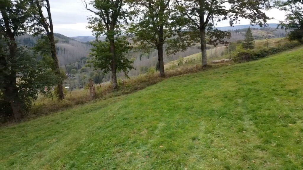 Baumpflanzaktion in St. Andreasberg: DasDreieck-Pflanzareal hinter der-Baumreihe mit Blick auf das Tal Silberhuette