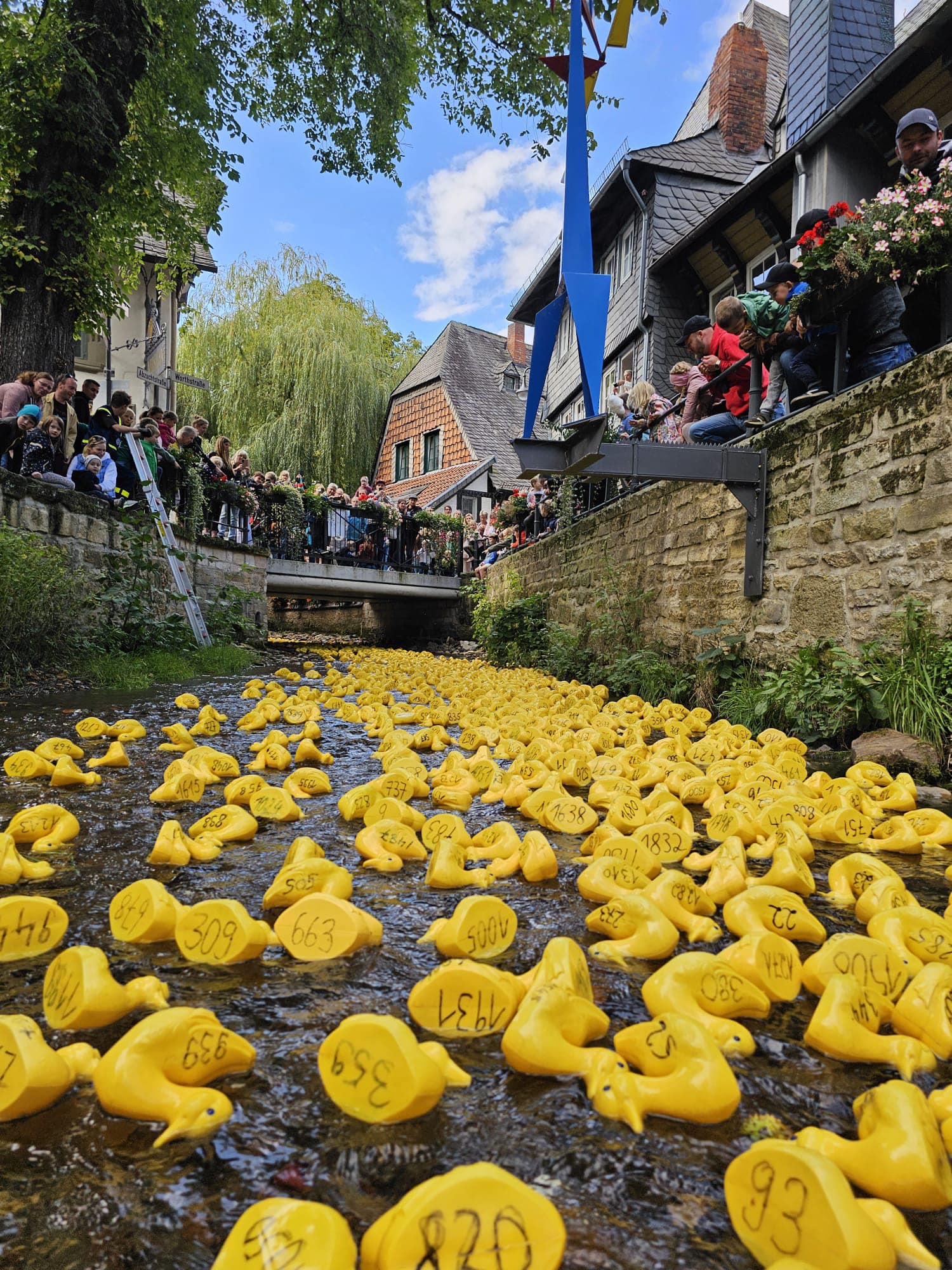 Rund 2.000 gelbe Rennenten gehen beim Goslarer Altstadtfest am 13. September am Museumsufer an den Start. Bild: Goslar Marketing GmbH